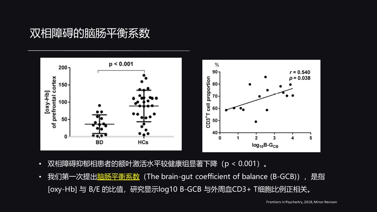 工业膨松剂，应用、特性及重要性,精细评估解析_2D41.11.32