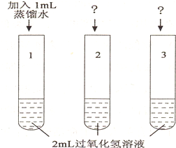 油箱兑水是否可行？探究油箱进水的影响及后果,快捷方案问题解决_Tizen80.74.18